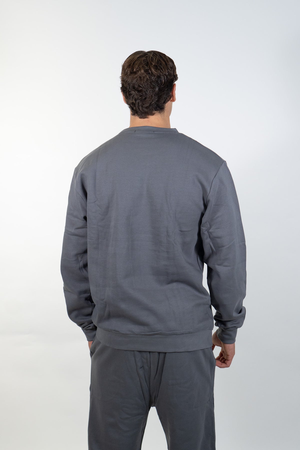 Ds2 - Felpa girocollo con logo montagna - Uomo