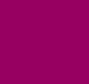 ACV0013685003 - Stole - RINASCIMENTO - World Fashion