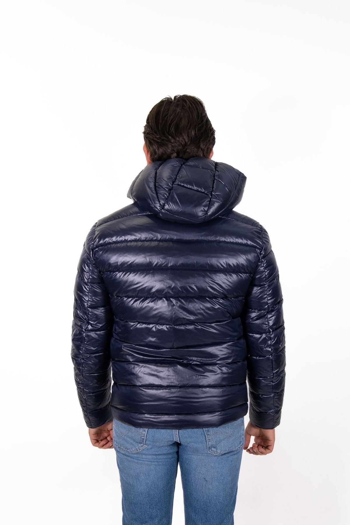 Blauer - Giubbino corto imbottitura ovatta Adams - Uomo - World Fashion
