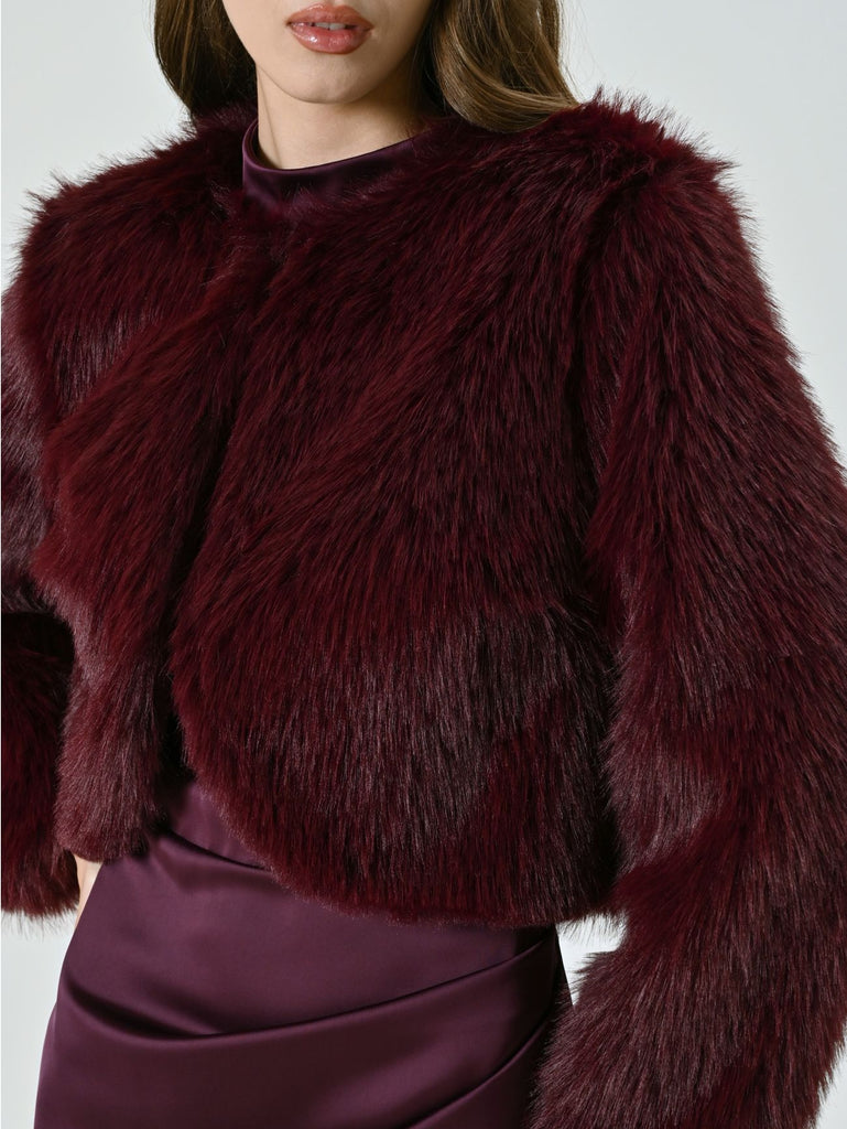 CFC0125075003 - BOLERO - RINASCIMENTO - World Fashion