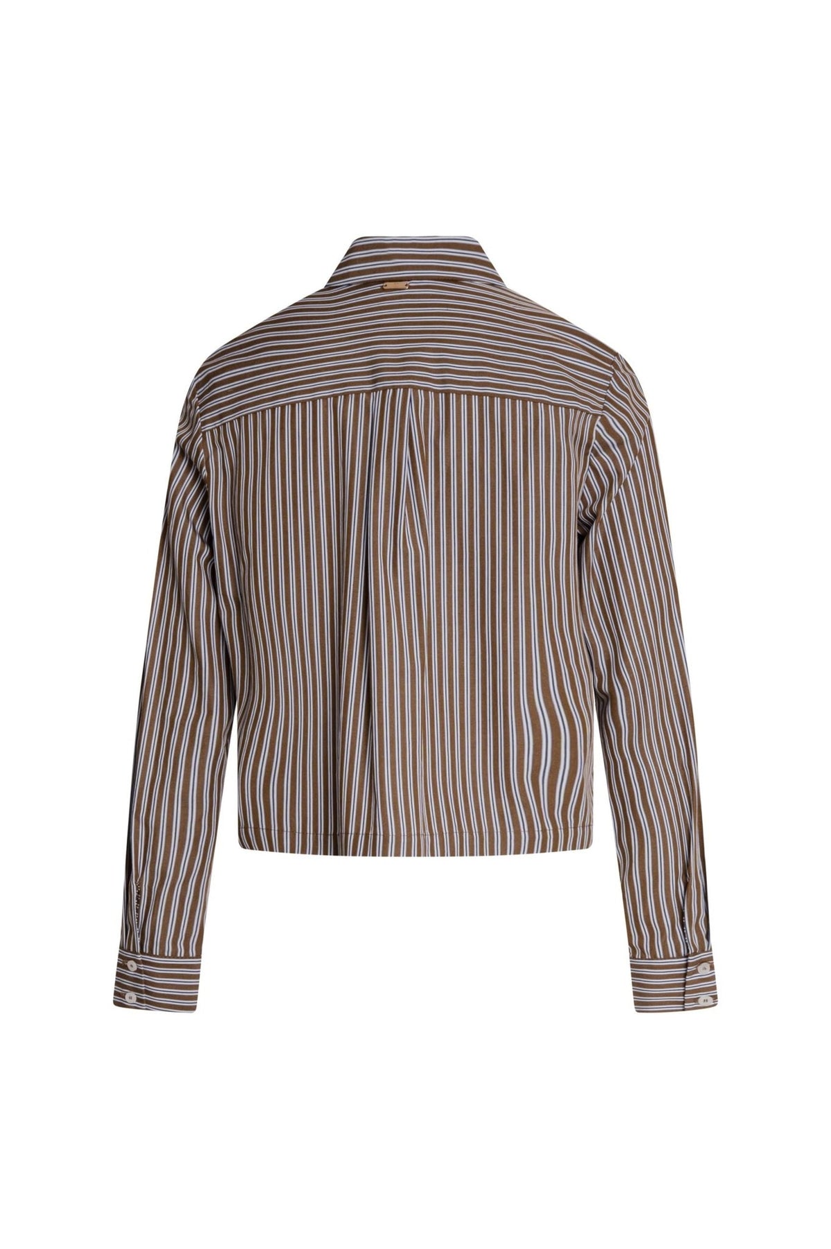 Fracomina - Camicia regular a righe in cotone - Donna - World Fashion