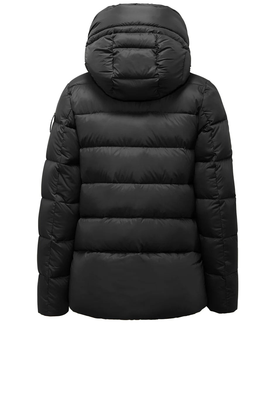 GW6012TMF5 - Giubbotto - BOMBOOGIE - World Fashion