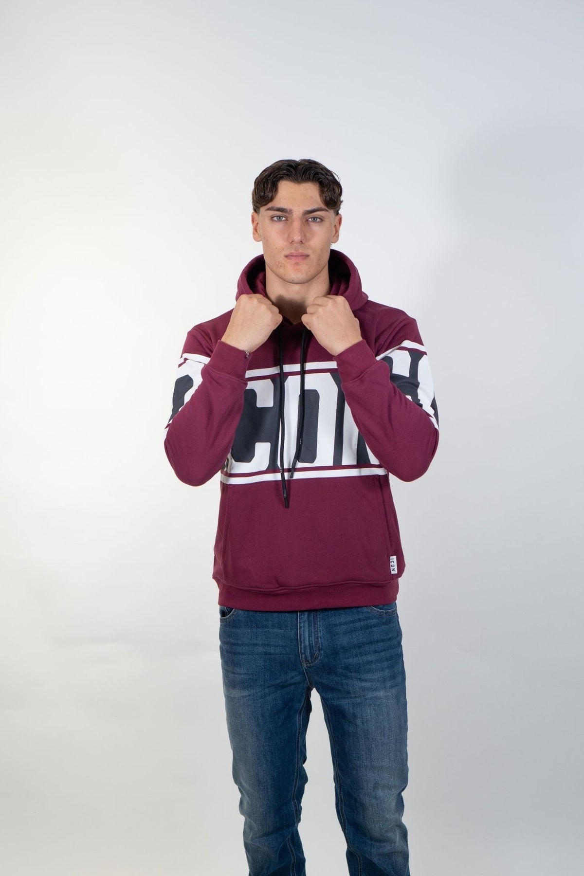 Icon - Felpa con Cappuccio Stripe - Uomo - World Fashion