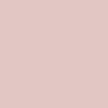 M49778659 - Maglia - Please - World Fashion