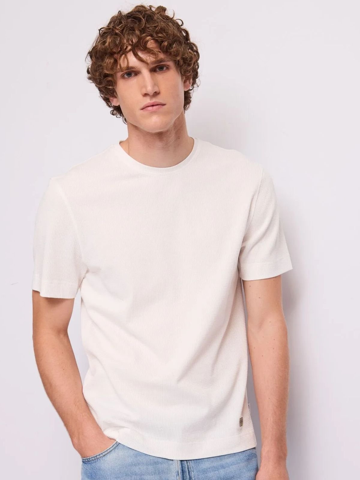 T-shirt in cotone Uomo - Gaudì Jeans - World Fashion